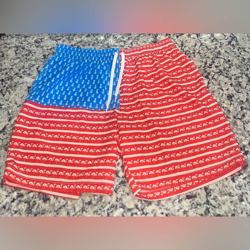 Chubbies Swim Trunks